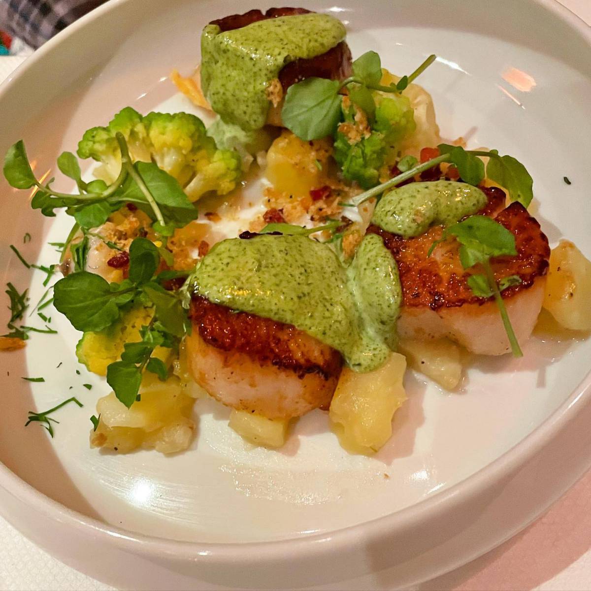 Scallops - Boulevard SF_compressed