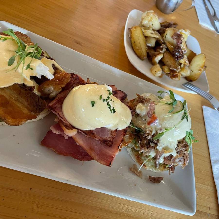 Bacon Benedict - Early Bird