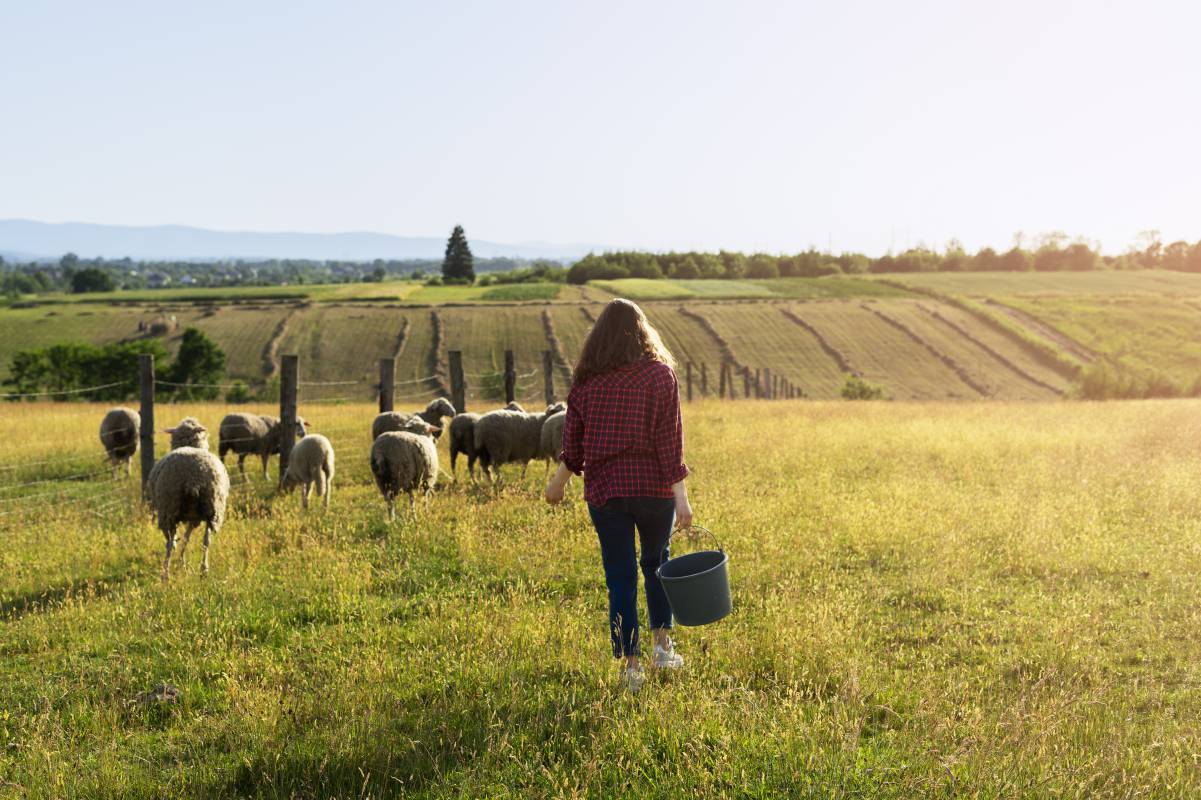 Plant Forward Meaning Local Farm